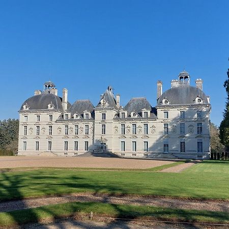 Traînefeuilles - Chambres d'hôtes Le Controis-en-Sologne Exterior foto