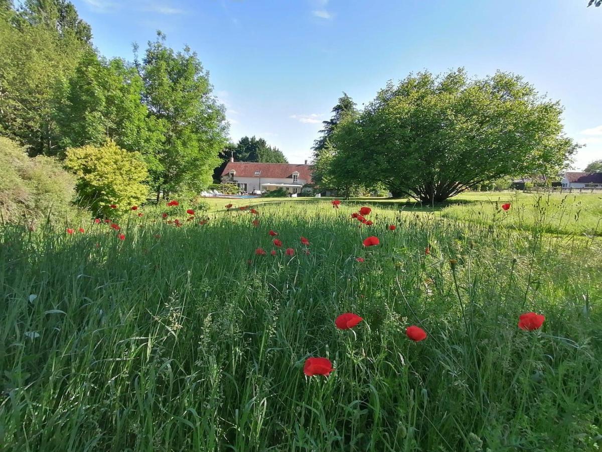 Traînefeuilles - Chambres d'hôtes Le Controis-en-Sologne Exterior foto