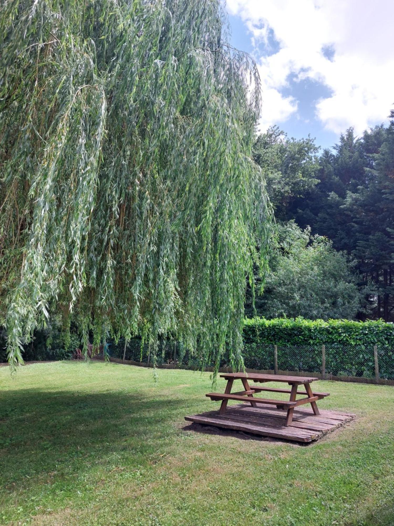 Traînefeuilles - Chambres d'hôtes Le Controis-en-Sologne Exterior foto