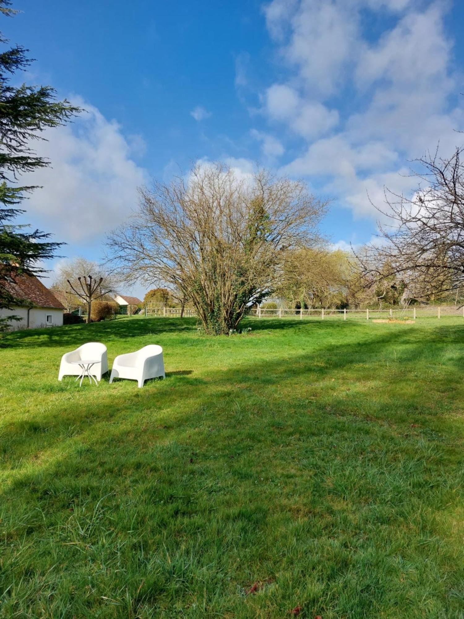 Traînefeuilles - Chambres d'hôtes Le Controis-en-Sologne Exterior foto